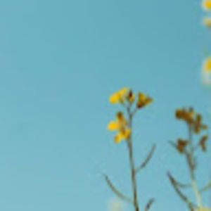 Meet your Posher, Rowan